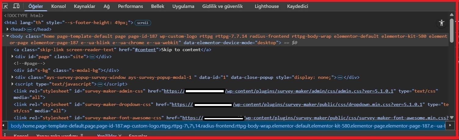 Chrome Öğeyi Denetle (Geliştirici Konsolu).jpg